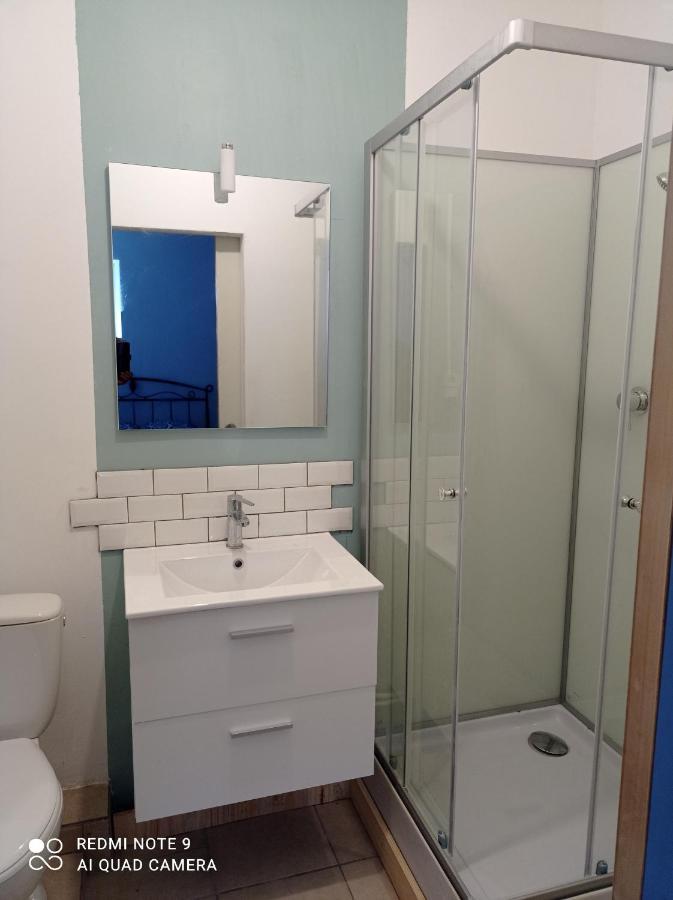 Appartement studio spacieux confortable récemment rénové à Albi Extérieur photo